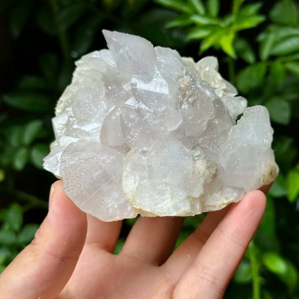 Shell-shaped calcite crystals, from Yaogangxian Mine, Hunan, China, front view in daylight, view 3 of 10