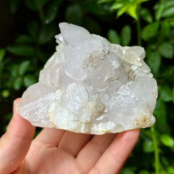 Shell-shaped calcite crystals, from Yaogangxian Mine, Hunan, China, front view in daylight, view 4 of 10