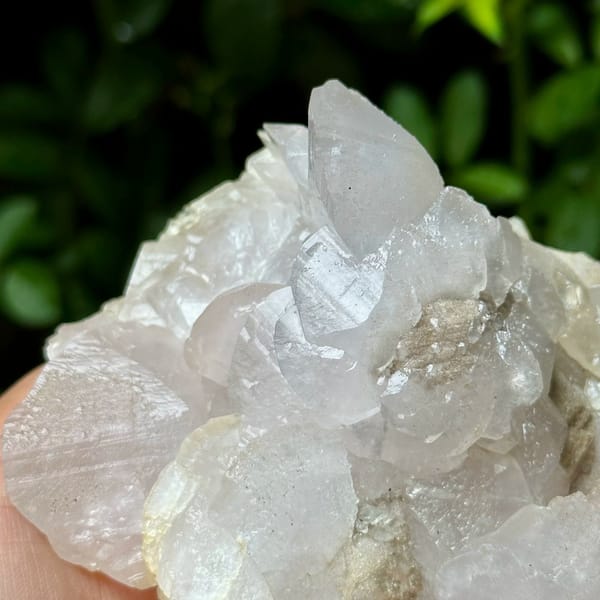 Shell-shaped calcite crystals, from Yaogangxian Mine, Hunan, China, front view in daylight, view 5 of 10
