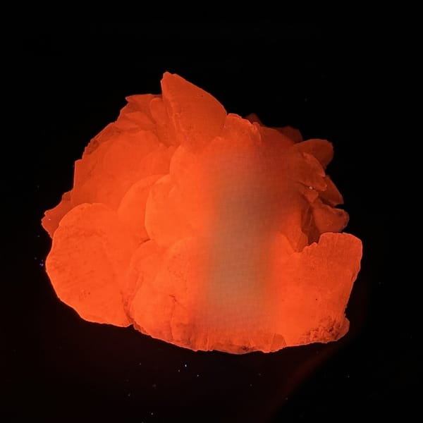 Shell-shaped calcite crystals, from Yaogangxian Mine, Hunan, China, front view in daylight, view 6 of 10