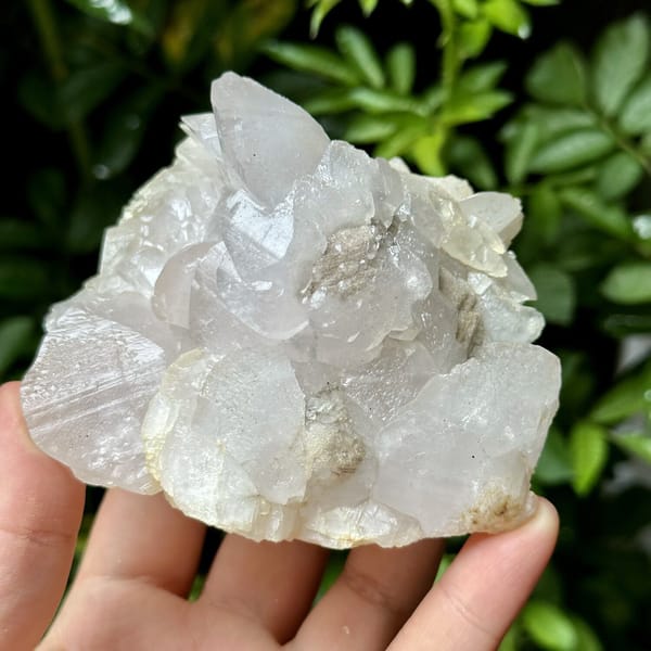Shell-shaped calcite crystals, from Yaogangxian Mine, Hunan, China, front view in daylight, view 7 of 10