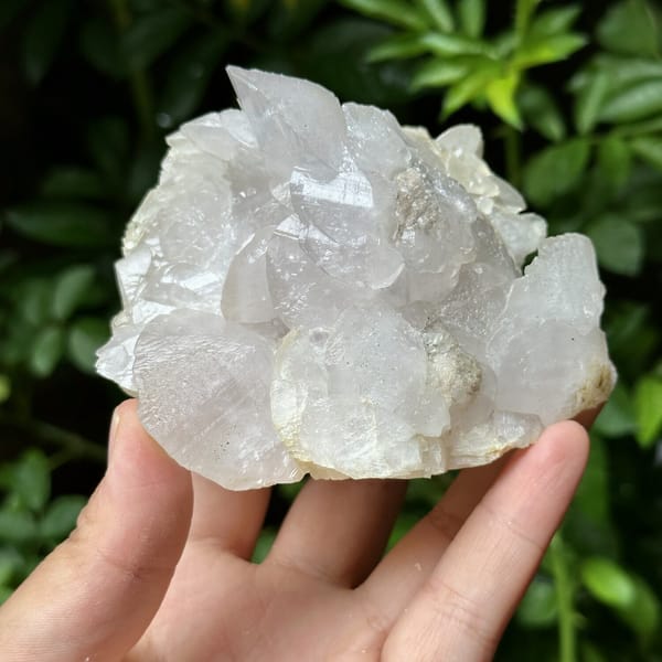 Shell-shaped calcite crystals, from Yaogangxian Mine, Hunan, China, front view in daylight, view 8 of 10
