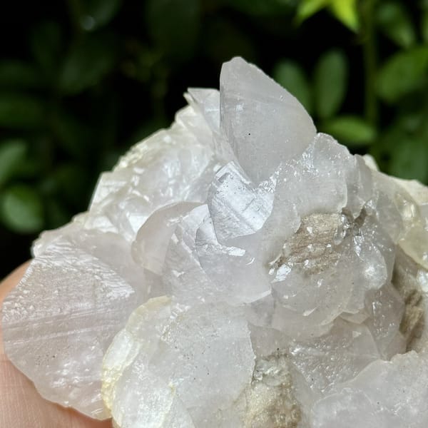 Shell-shaped calcite crystals, from Yaogangxian Mine, Hunan, China, front view in daylight, view 10 of 10