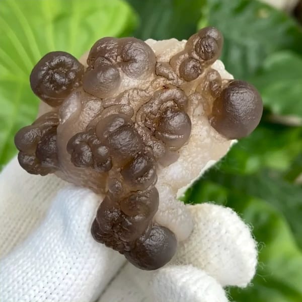 Smoky brown botryoidal agate balls over pale base from Africa