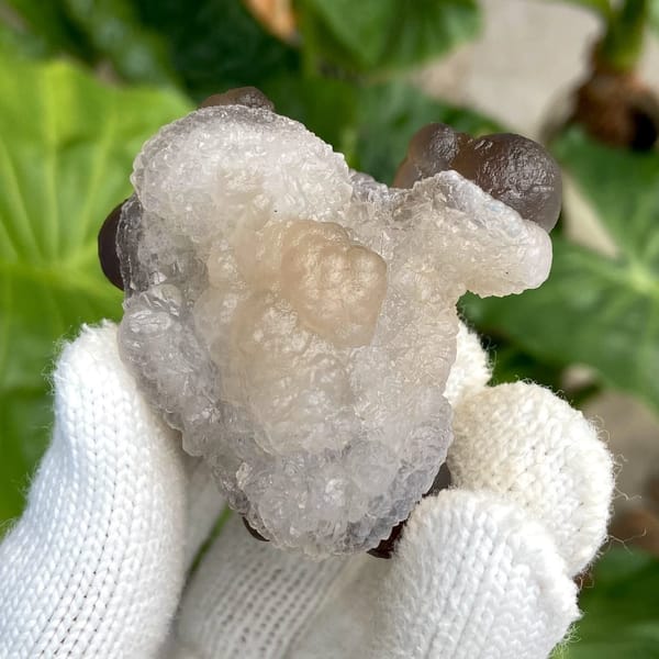 Smoky brown botryoidal agate balls over pale base from Africa, view 9 of 9
