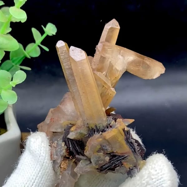 Tan quartz prisms standing on black specular hematite from Guangdong, China