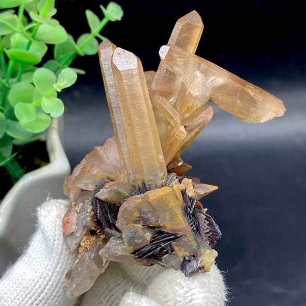 Tan quartz prisms standing on black specular hematite from Guangdong, China, view 2 of 9