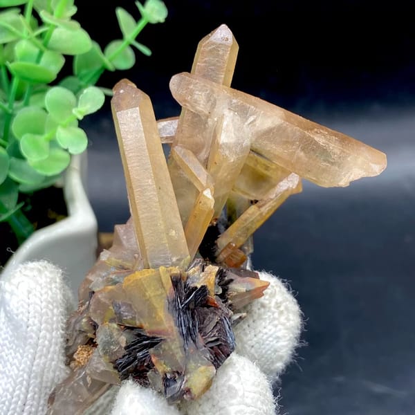 Tan quartz prisms standing on black specular hematite from Guangdong, China, view 3 of 9