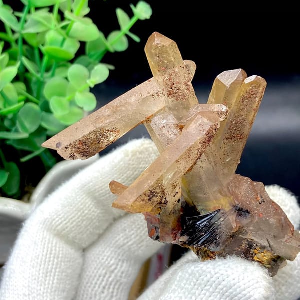 Tan quartz prisms standing on black specular hematite from Guangdong, China, view 4 of 9