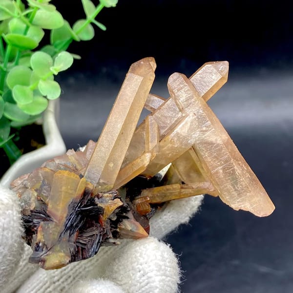 Tan quartz prisms standing on black specular hematite from Guangdong, China, view 5 of 9