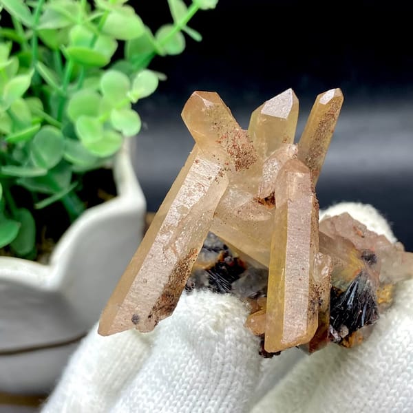 Tan quartz prisms standing on black specular hematite from Guangdong, China, view 6 of 9
