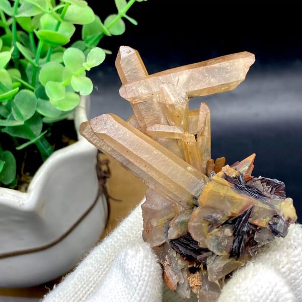 Tan quartz prisms standing on black specular hematite from Guangdong, China, view 7 of 9