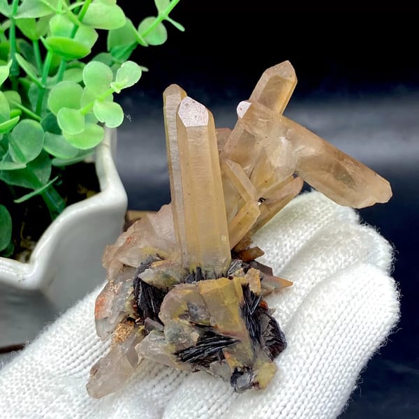 Tan quartz prisms standing on black specular hematite from Guangdong, China, view 8 of 9