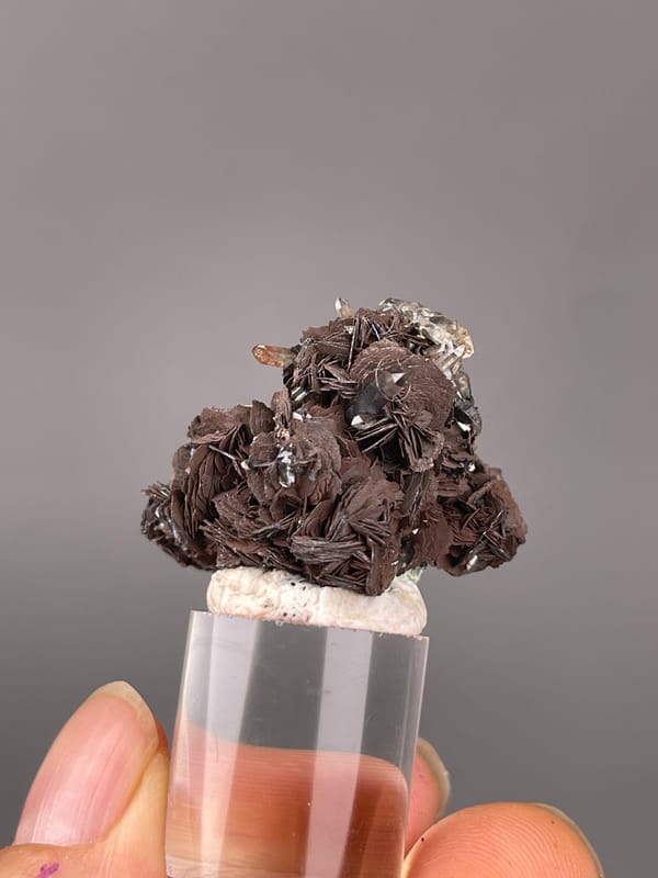 Specular Hematite specimen from Jinlong, Guangdong, China presenting dark radial hematite rosettes