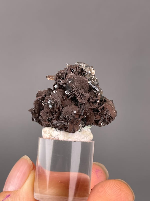 Dark radial hematite rosettes visible on specular hematite specimen from Jinlong, Guangdong, China
