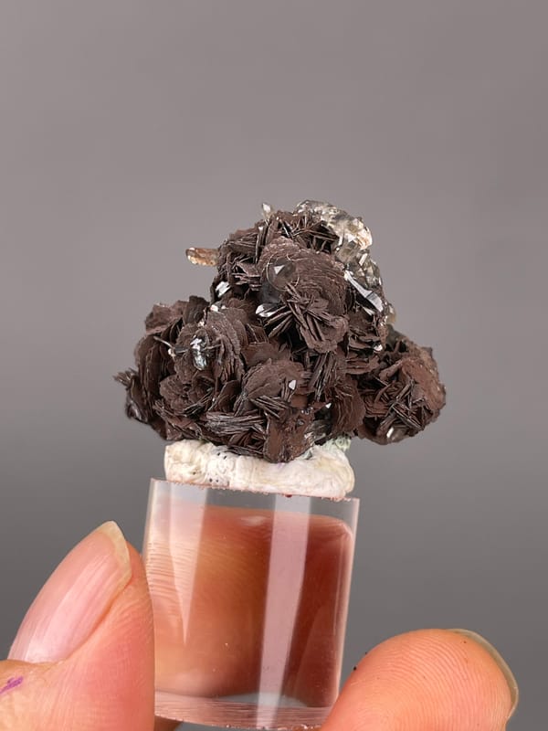 Specular Hematite specimen from Jinlong, Guangdong, China displaying dark radial hematite rosettes
