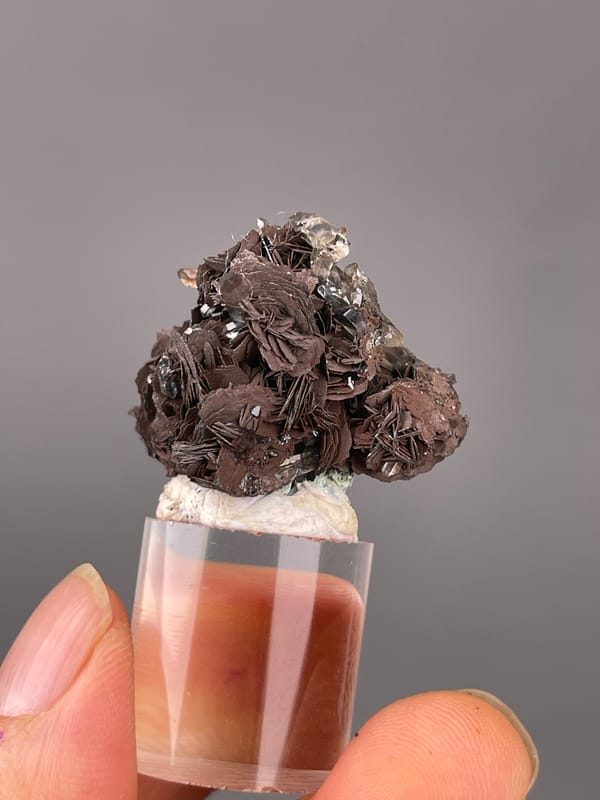 Dark radial hematite rosettes on natural specular hematite specimen from Jinlong, Guangdong, China