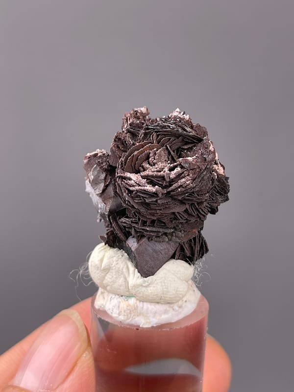 Specularite specimen from Jinlong, Guangdong, China featuring dark bladed specularite rosette