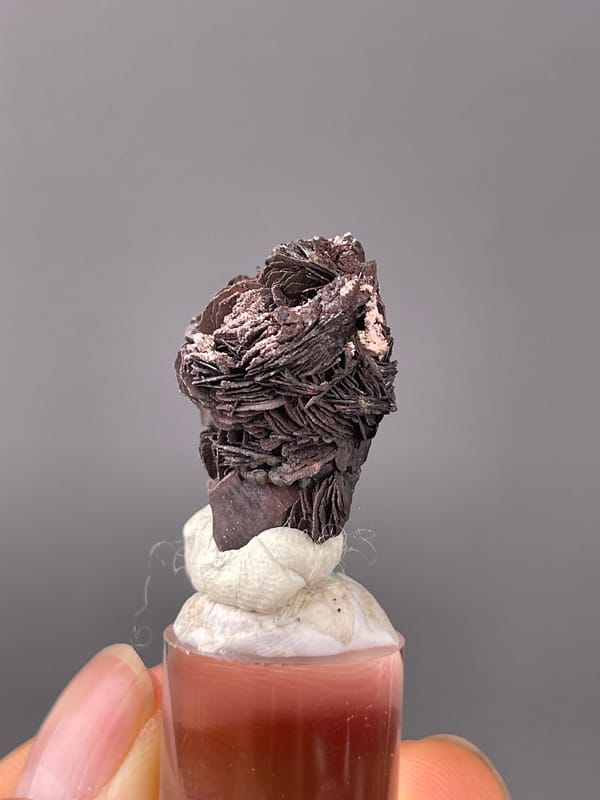 Specularite specimen from Jinlong, Guangdong, China, defined by dark bladed specularite rosette