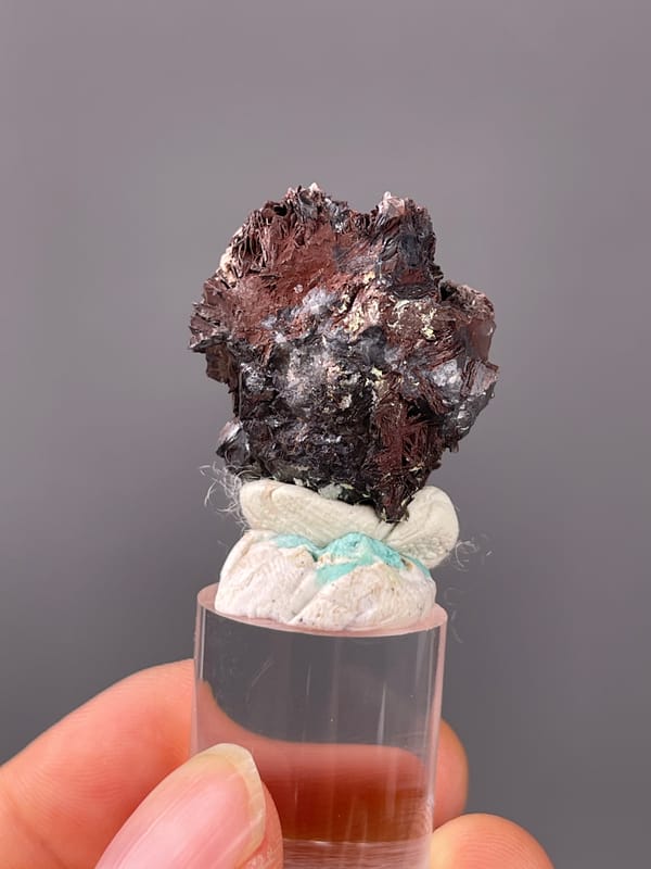 Dark bladed specularite rosette visible on specularite specimen from Jinlong, Guangdong, China