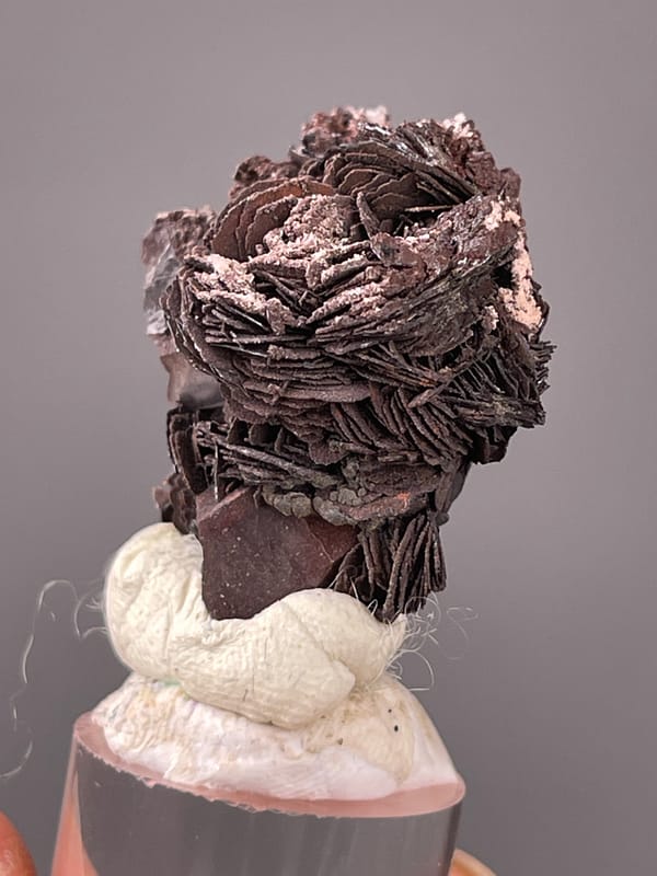 Dark bladed specularite rosette on natural specularite specimen from Jinlong, Guangdong, China