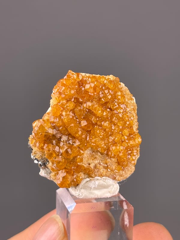 Spessartine Garnet specimen from Yunxiao, Fujian, China showing orange-brown crystal druse