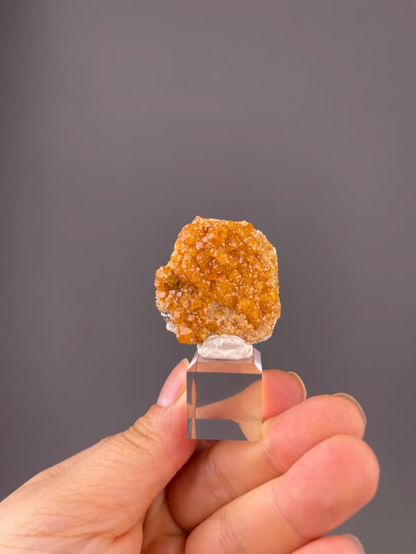 Spessartine Garnet specimen from Yunxiao, Fujian, China displaying orange-brown crystal druse