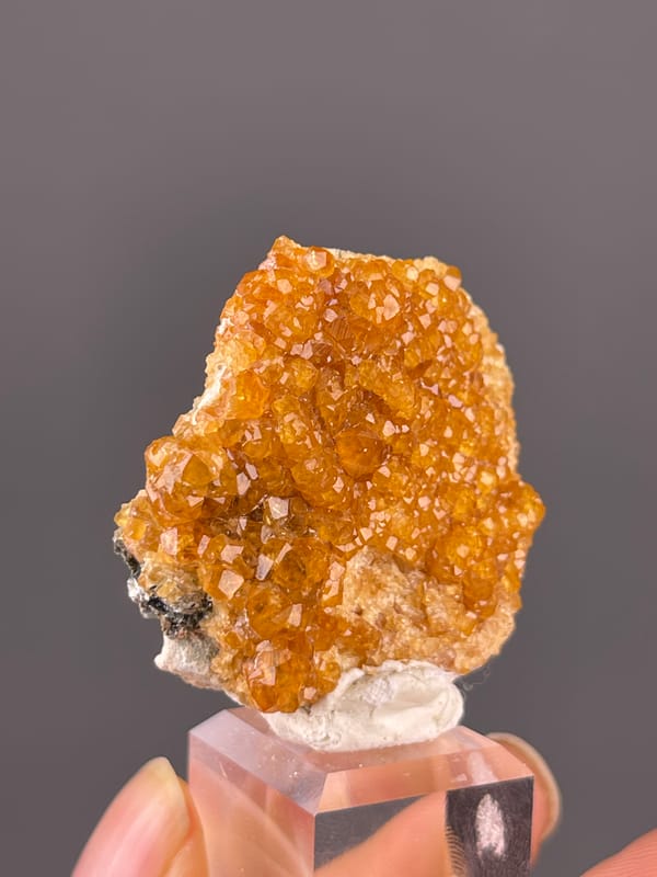 Spessartine Garnet specimen from Yunxiao, Fujian, China highlighting orange-brown crystal druse