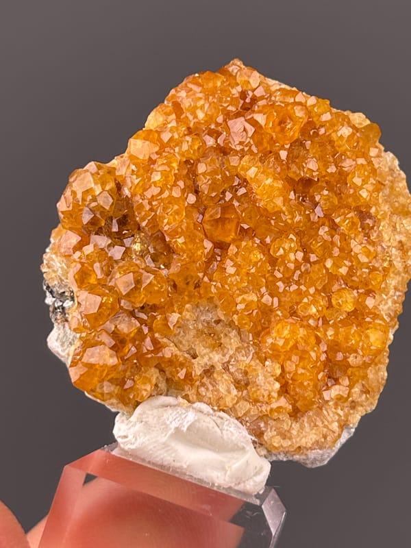 Spessartine Garnet specimen from Yunxiao, Fujian, China bearing orange-brown crystal druse