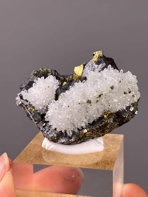 Sphalerite specimen from Jiangxi, China, defined by white quartz on dark sulfide matrix