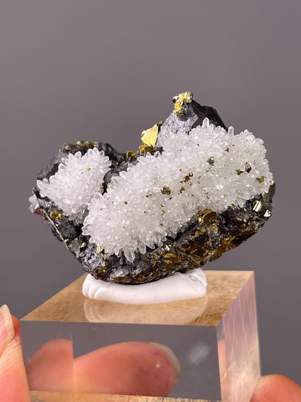 Sphalerite specimen from Jiangxi, China presenting white quartz on dark sulfide matrix