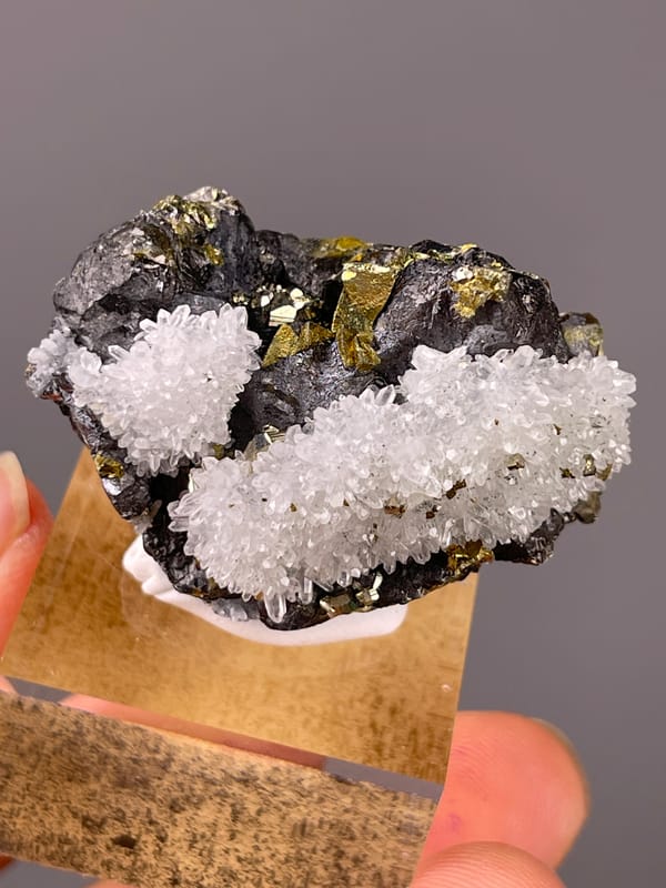 Sphalerite specimen from Jiangxi, China, characterized by white quartz on dark sulfide matrix