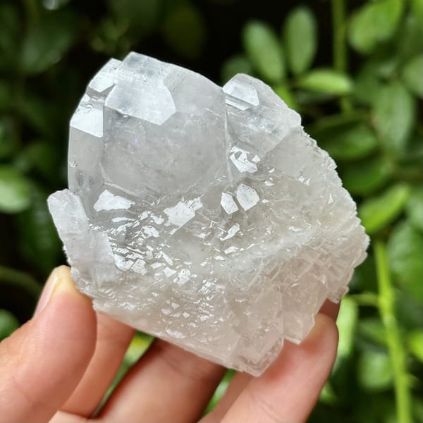 Stepped calcite crystals, from Yaogangxian Mine, Hunan, China, front view in daylight, view 9 of 12