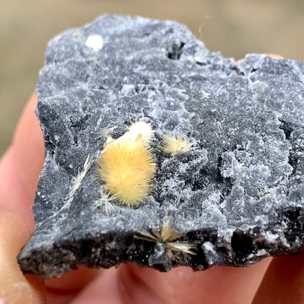 Fuzzy yellow stibiconite ball on black matrix from Hunan, China, view 3 of 6