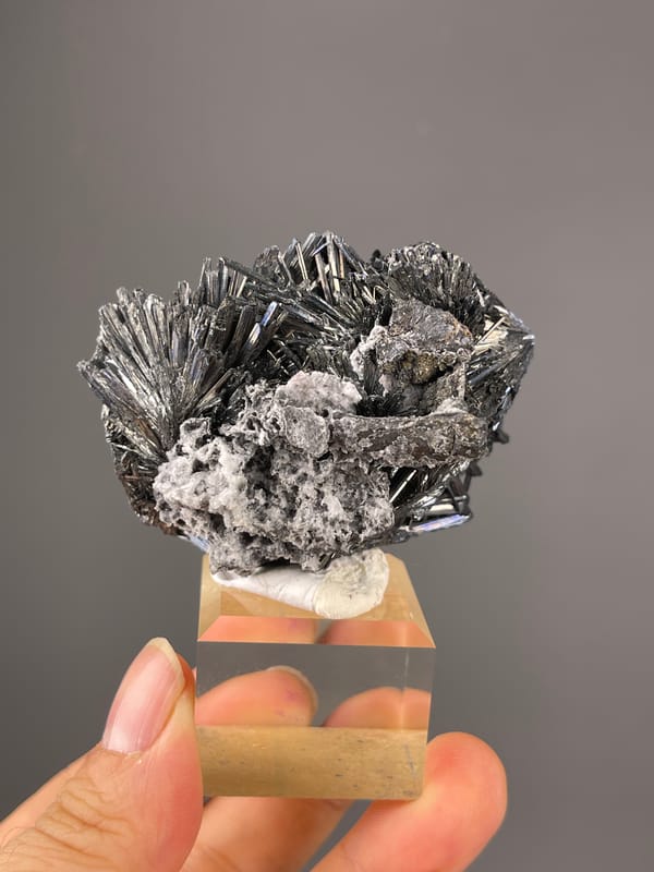 Stibnite specimen from Bulgaria showing steel-gray radiating metallic needles