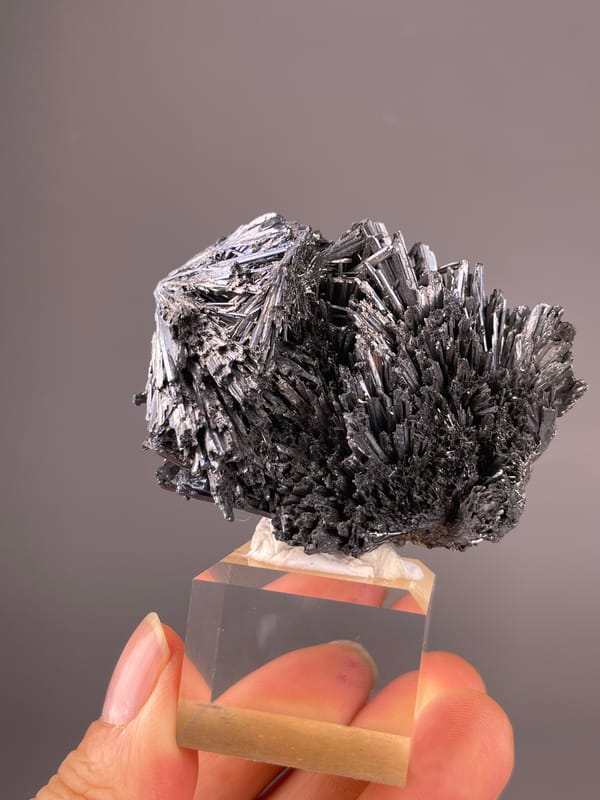 Steel-gray radiating metallic needles on natural stibnite specimen from Bulgaria