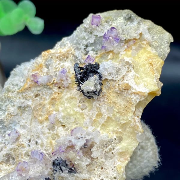Grey stibnite blades with purple fluorite on pale matrix from Shangbao, Hunan, China, view 6 of 9