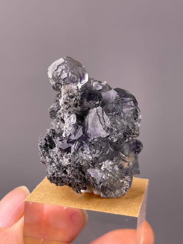 Tanzanite-blue Fluorite specimen from Yongchun, Fujian, China featuring lilac stepped fluorite on black matrix