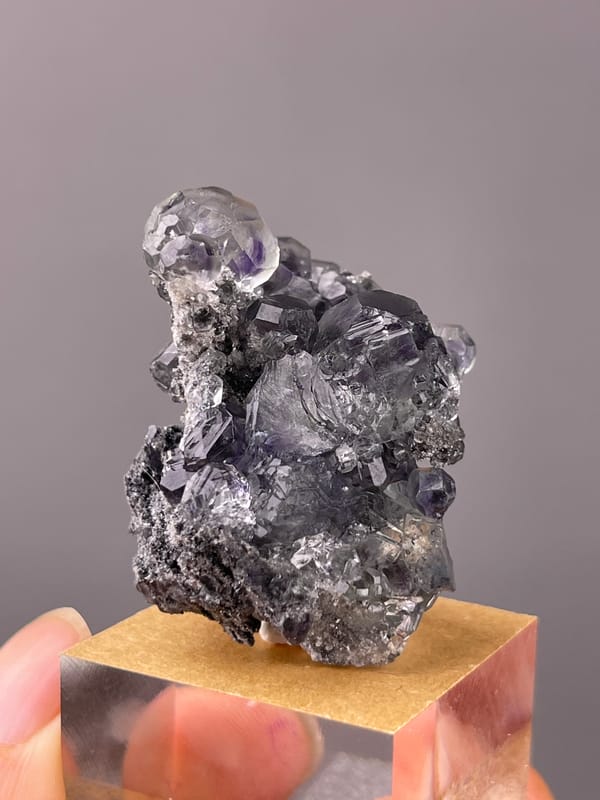 Tanzanite-blue Fluorite specimen from Yongchun, Fujian, China showing lilac stepped fluorite on black matrix