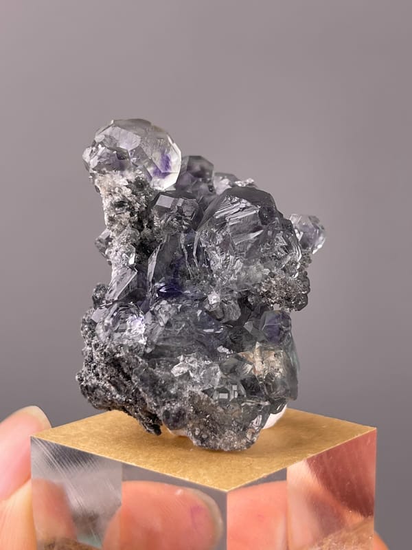 Tanzanite-blue Fluorite specimen from Yongchun, Fujian, China, defined by lilac stepped fluorite on black matrix