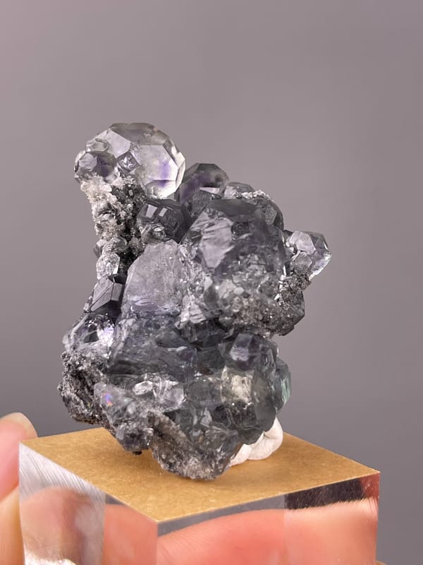 Tanzanite-blue Fluorite specimen from Yongchun, Fujian, China presenting lilac stepped fluorite on black matrix
