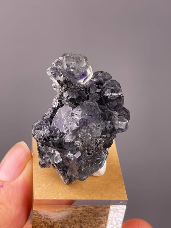 Lilac stepped fluorite on black matrix visible on tanzanite-blue fluorite specimen from Yongchun, Fujian, China