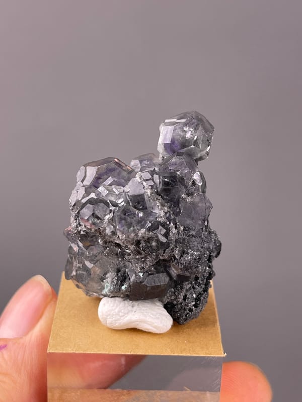 Tanzanite-blue Fluorite specimen from Yongchun, Fujian, China displaying lilac stepped fluorite on black matrix
