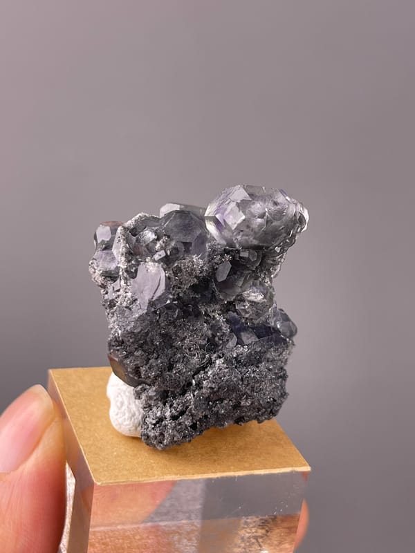 Lilac stepped fluorite on black matrix on natural tanzanite-blue fluorite specimen from Yongchun, Fujian, China