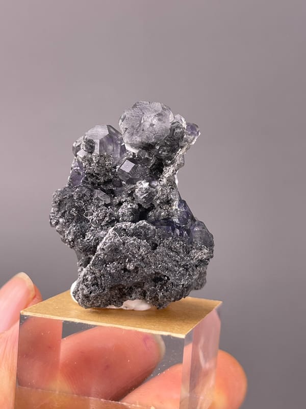 Tanzanite-blue Fluorite specimen from Yongchun, Fujian, China highlighting lilac stepped fluorite on black matrix