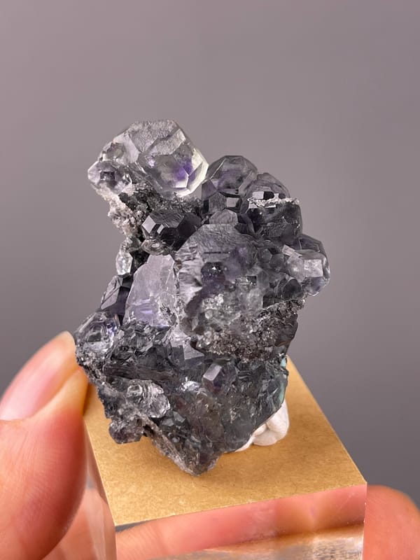 Tanzanite-blue Fluorite specimen from Yongchun, Fujian, China, characterized by lilac stepped fluorite on black matrix