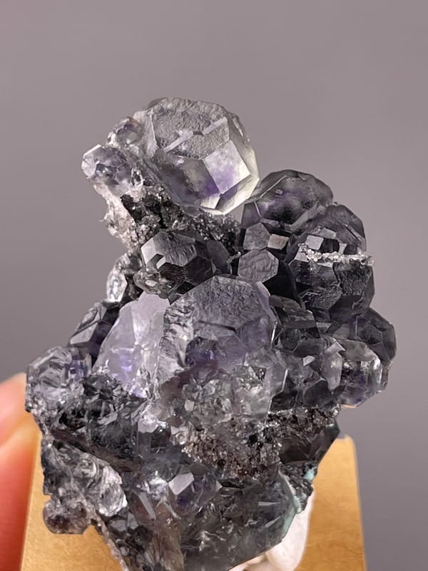 Tanzanite-blue Fluorite specimen from Yongchun, Fujian, China bearing lilac stepped fluorite on black matrix