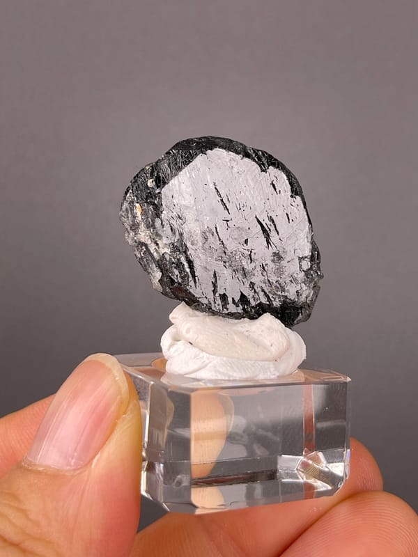 Tourmaline from Brazil: strong pale reflection across a broad black crystal face.