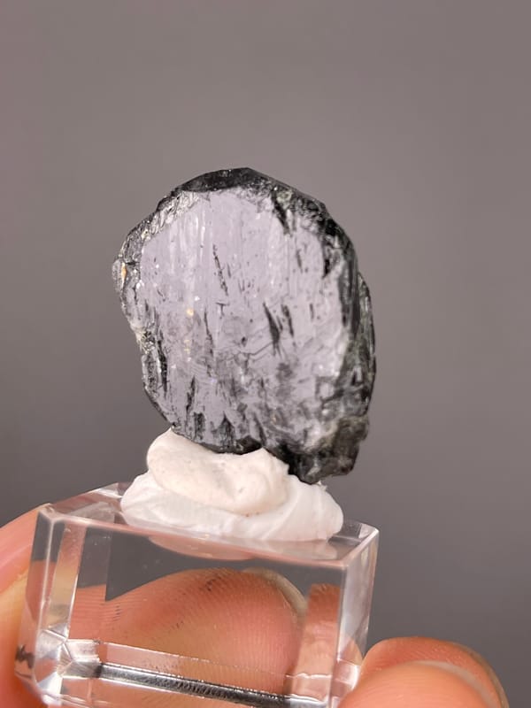 Tourmaline from Brazil: front face reflecting pale light between dark grooves.