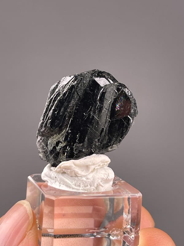 Tourmaline from Brazil: tilted view showing a rough side beside the broad grooved face.